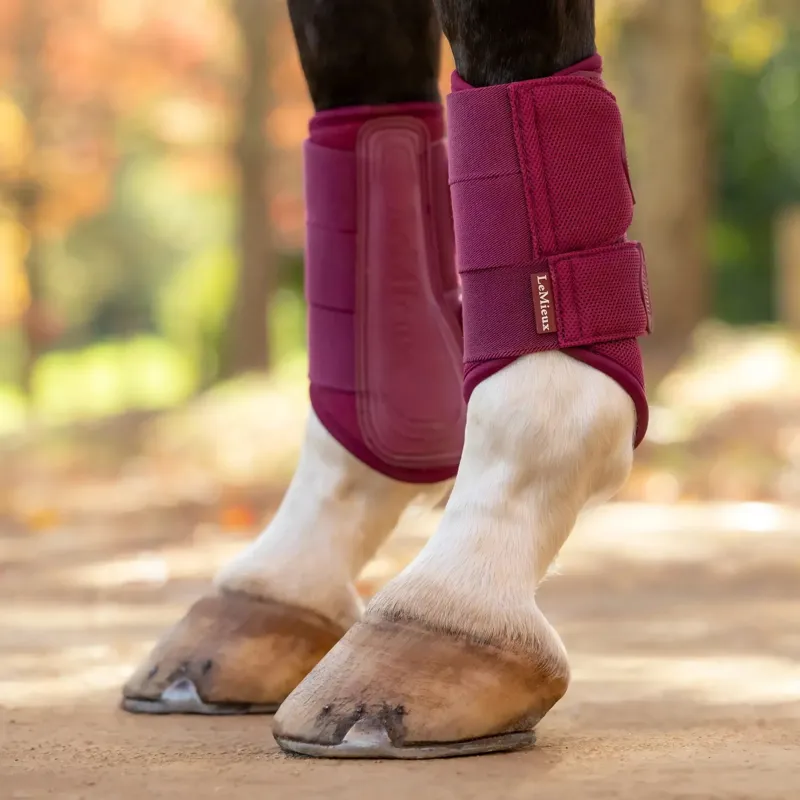 LeMieux Arika Mesh Brushing Boots - Blackberry-1