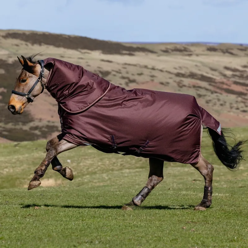 LeMieux Arika Ripstop 0g Detachable Neck Turnout Blanket - Bramble-3