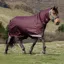 LeMieux Arika Ripstop 0g Detachable Neck Turnout Blanket - Bramble