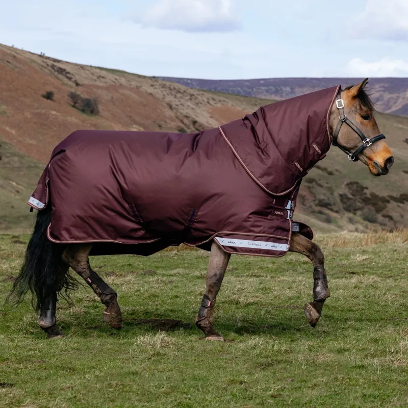 LeMieux Arika Ripstop 0g Detachable Neck Turnout Blanket - Bramble-2