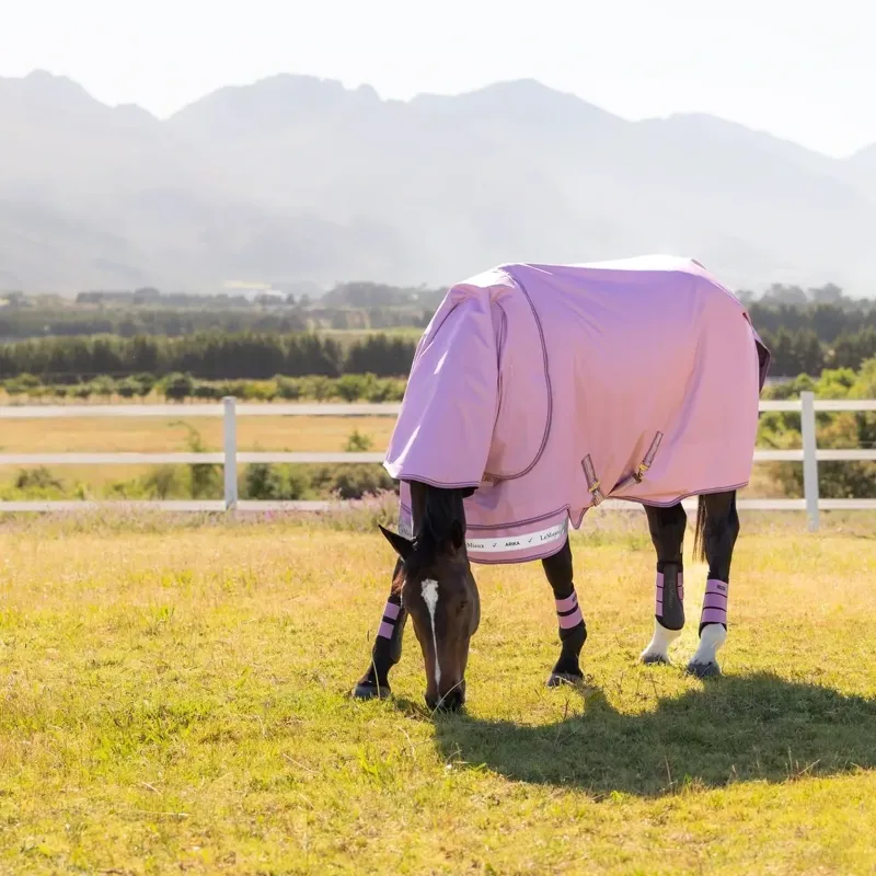 LeMieux Arika Ripstop 600D 50g Detachable Neck Turnout Blanket - Fondant-3