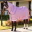 LeMieux Arika Ripstop 600D 0g Detachable Neck Turnout Blanket-Fondant