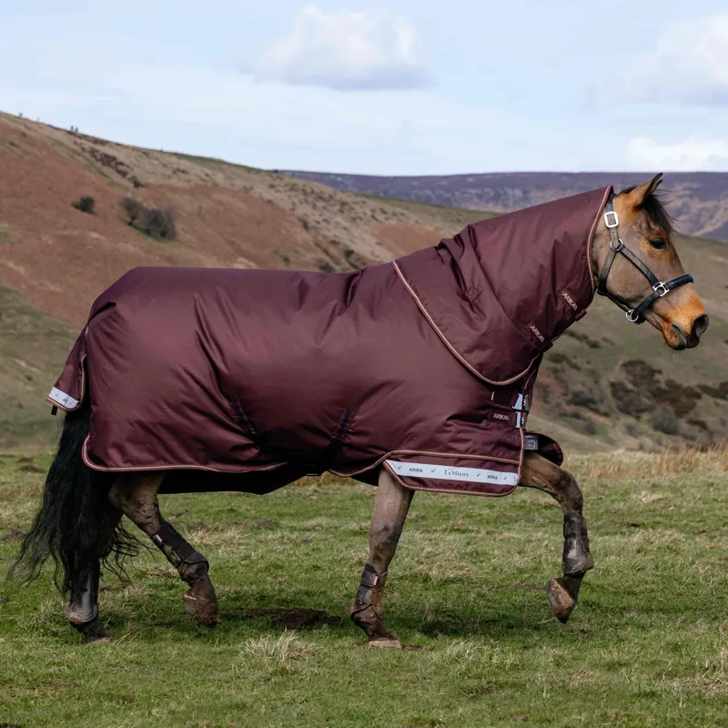 LeMieux Arika Ripstop 600D 100g Detachable Neck Turnout Blanket - Bramble-1