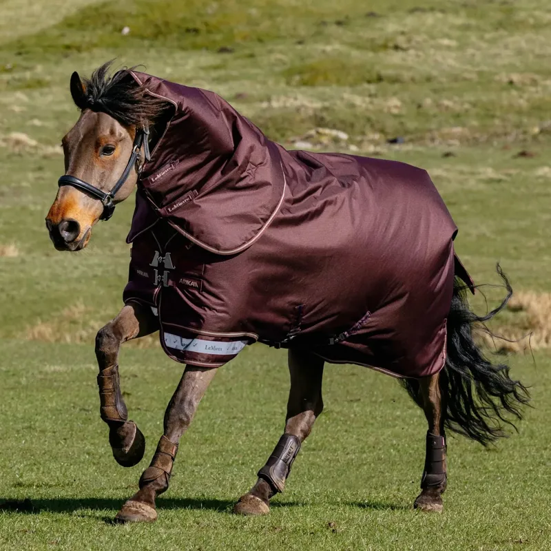 LeMieux Arika Ripstop 600D 100g Detachable Neck Turnout Blanket - Bramble