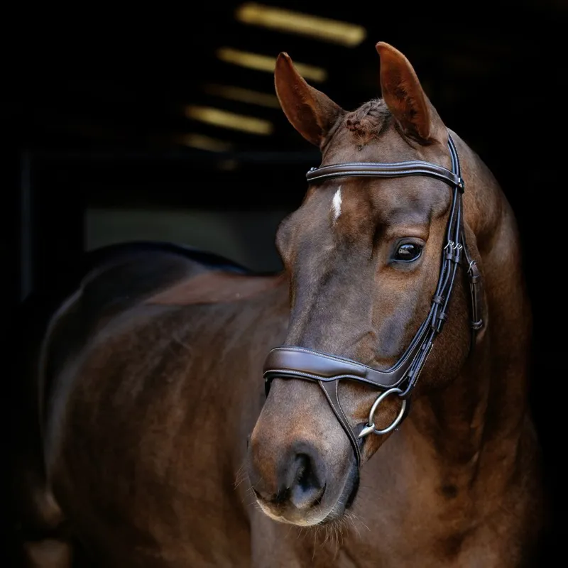 LeMieux Arika Anatomic Split Noseband Bridle - Brown/Silver