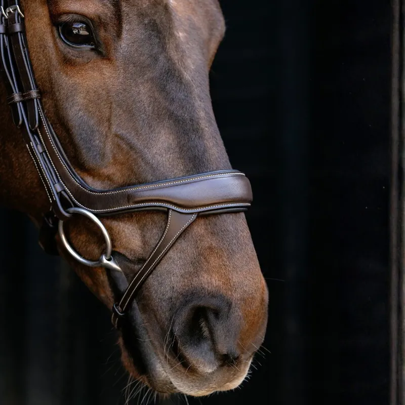 LeMieux Arika Split Noseband Bridle - Brown-2