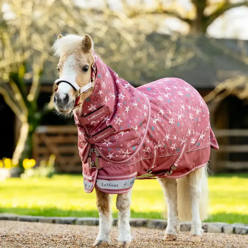 LeMieux Arika Star Detachable Neck 200g Turnout Blanket - Spiced Earth-1