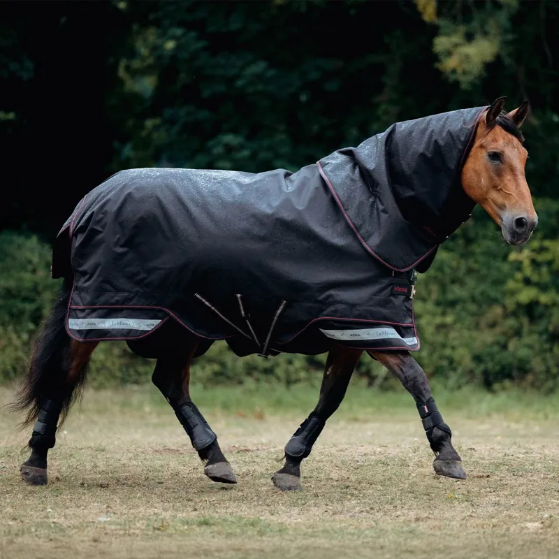 LeMieux Arika Storm-Tek Detachable Neck 100g Turnout Blanket - Black-1