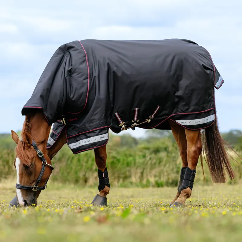 LeMieux Arika Storm-Tek Detachable Neck 200g Turnout Blanket - Black