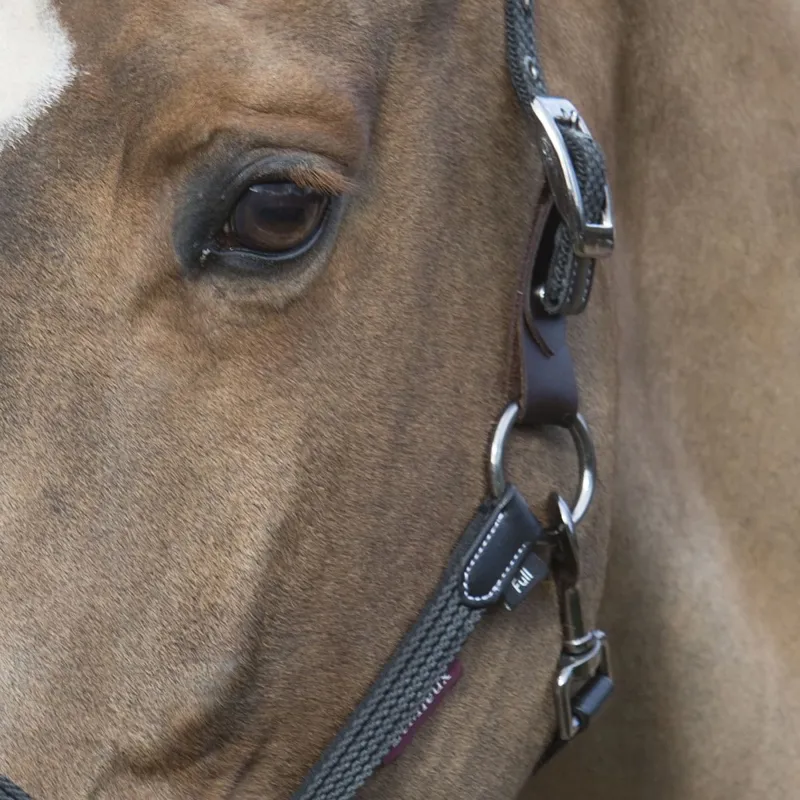 LeMieux Breakaway Halter - Black/Brown-2
