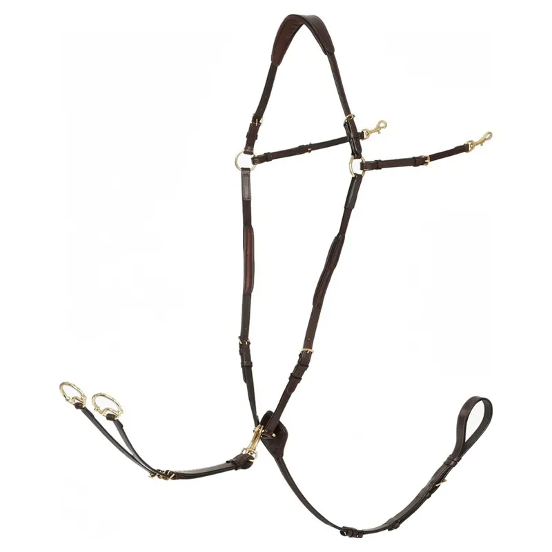 LeMieux Breastplate with Detachable Martingale - Havana/Brass
