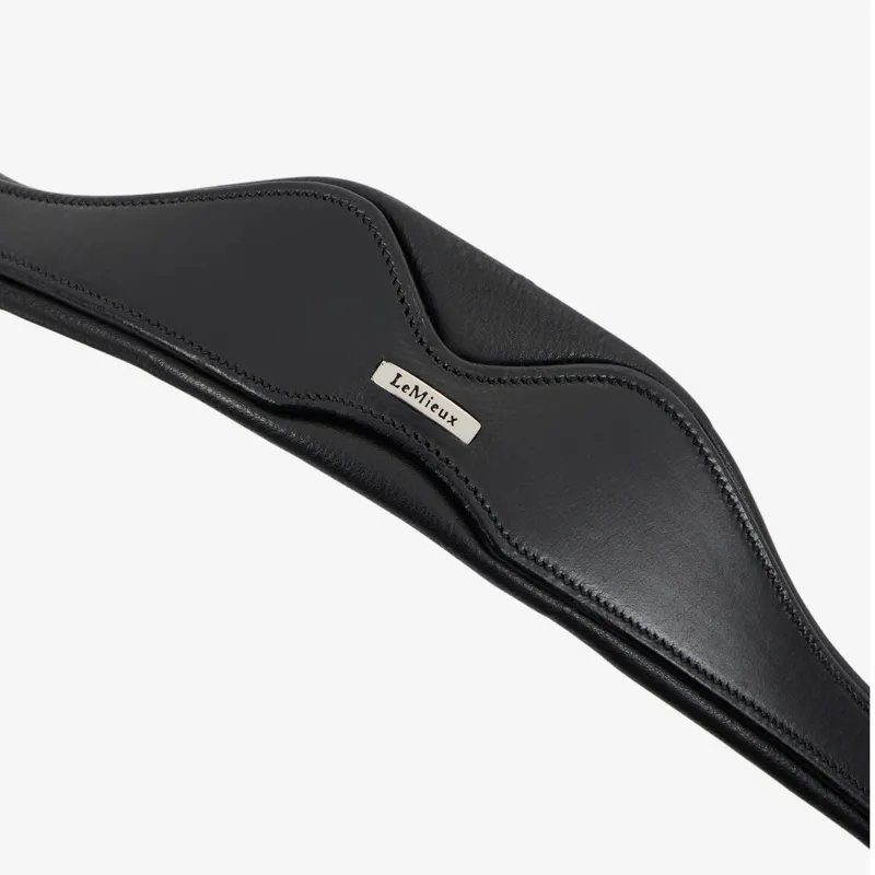 LeMieux Cross Functional Leather Lunge Cavesson - Black-2