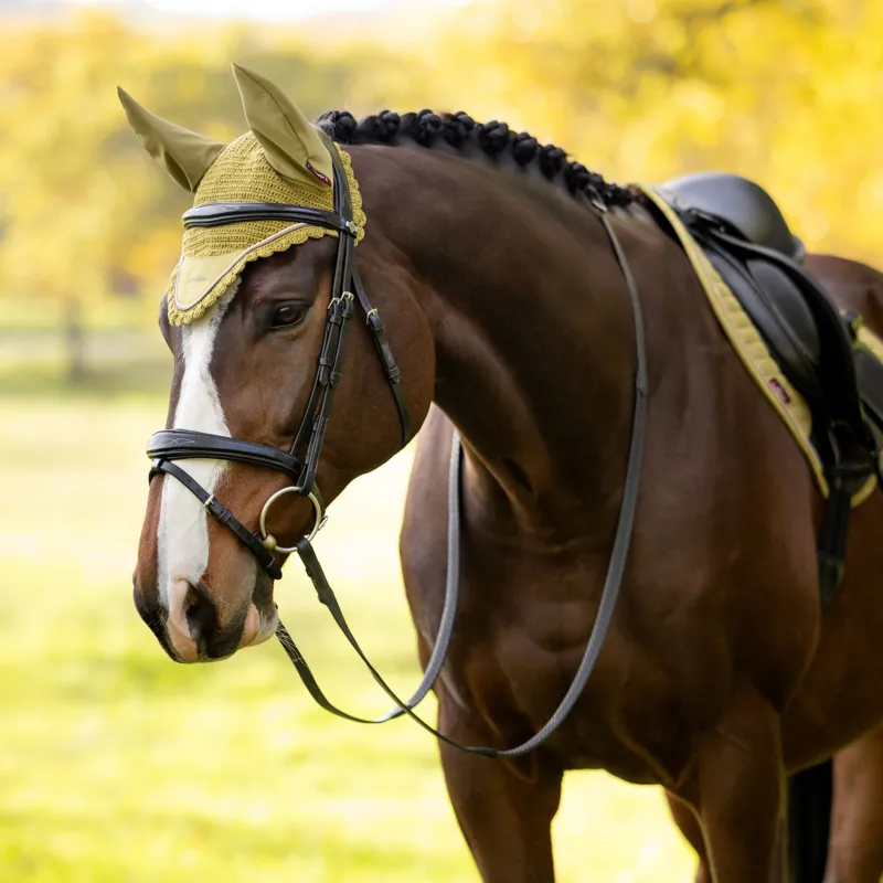 LeMieux Classic Fly Bonnet - Gooseberry-1