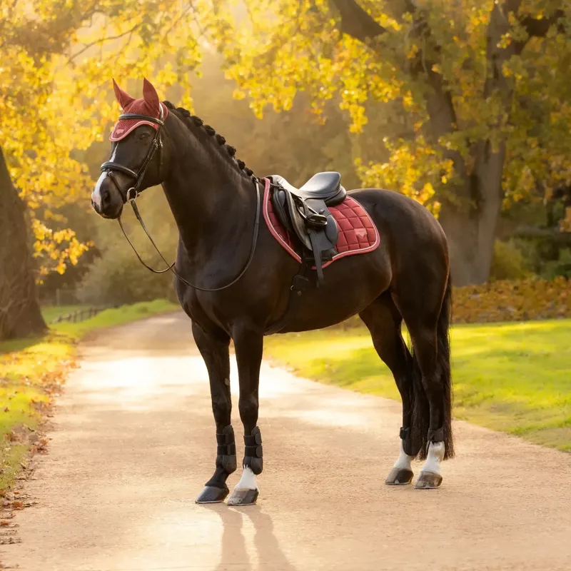 LeMieux Loire Classic Close Contact Saddle Pad - Russet-3