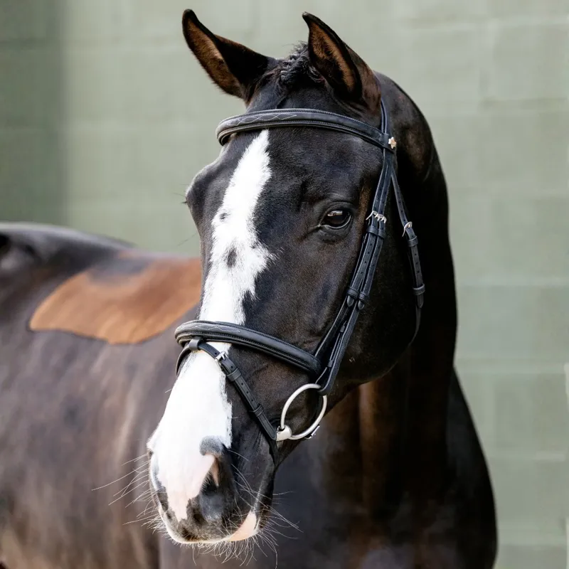 LeMieux Classique Flash Bridle - Black-1