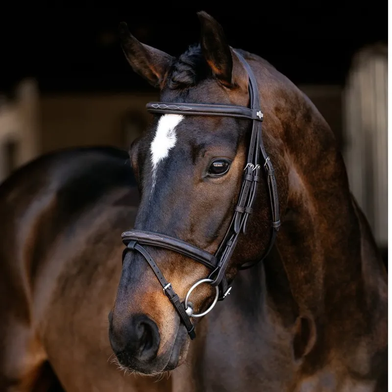 LeMieux Classique Flash Bridle - Brown/Silver
