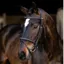 LeMieux Classique Flash Bridle - Brown/Silver