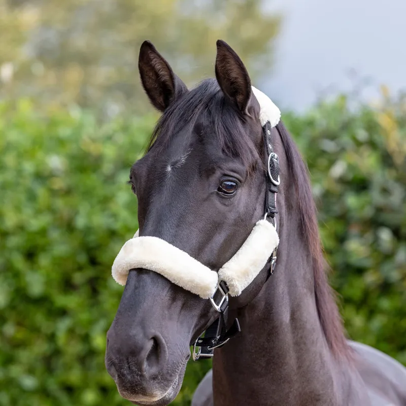LeMieux Comfort Fleece Halter - Black/Natural-1