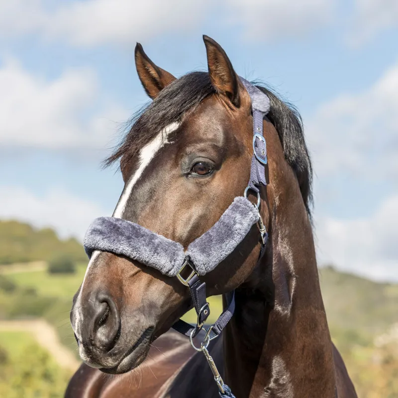 LeMieux Comfort Fleece Halter - Navy/Grey-2