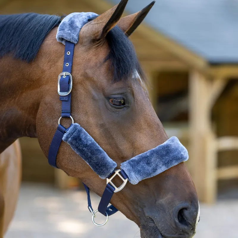 LeMieux Comfort Fleece Halter - Navy/Grey-1