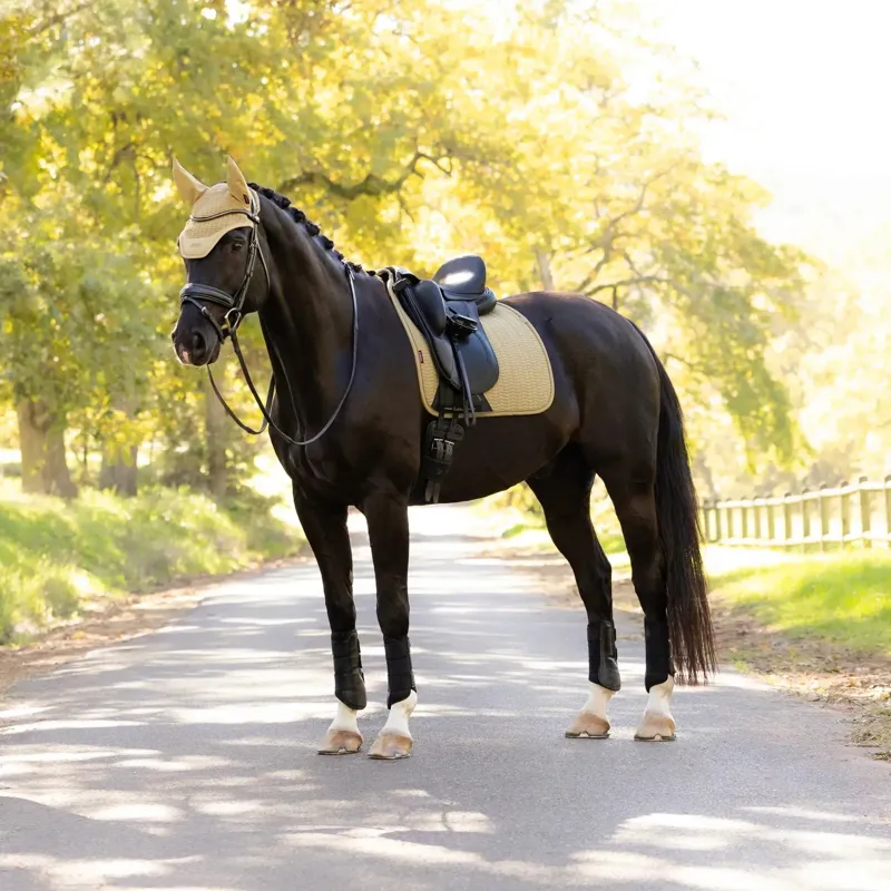 LeMieux Essence Dressage Pad - Pear-4