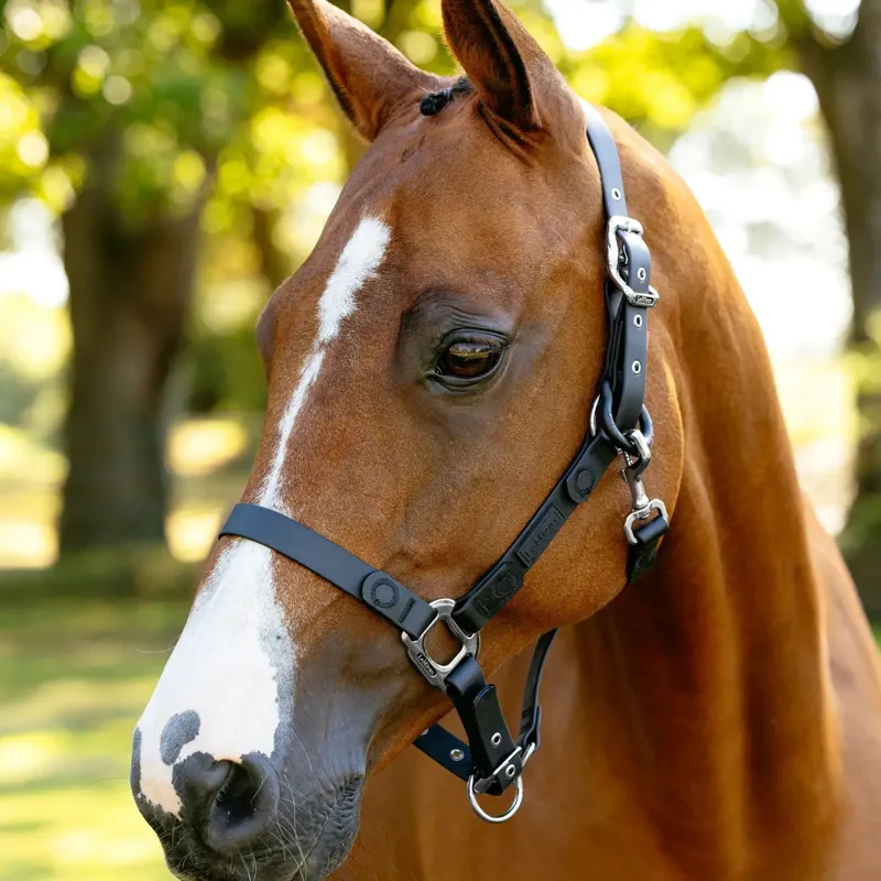 LeMieux FieldFlex Breakaway Halter - Black-1
