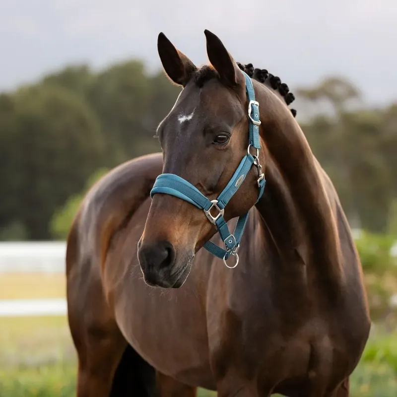 LeMieux Versailles Halter - Jungle-1