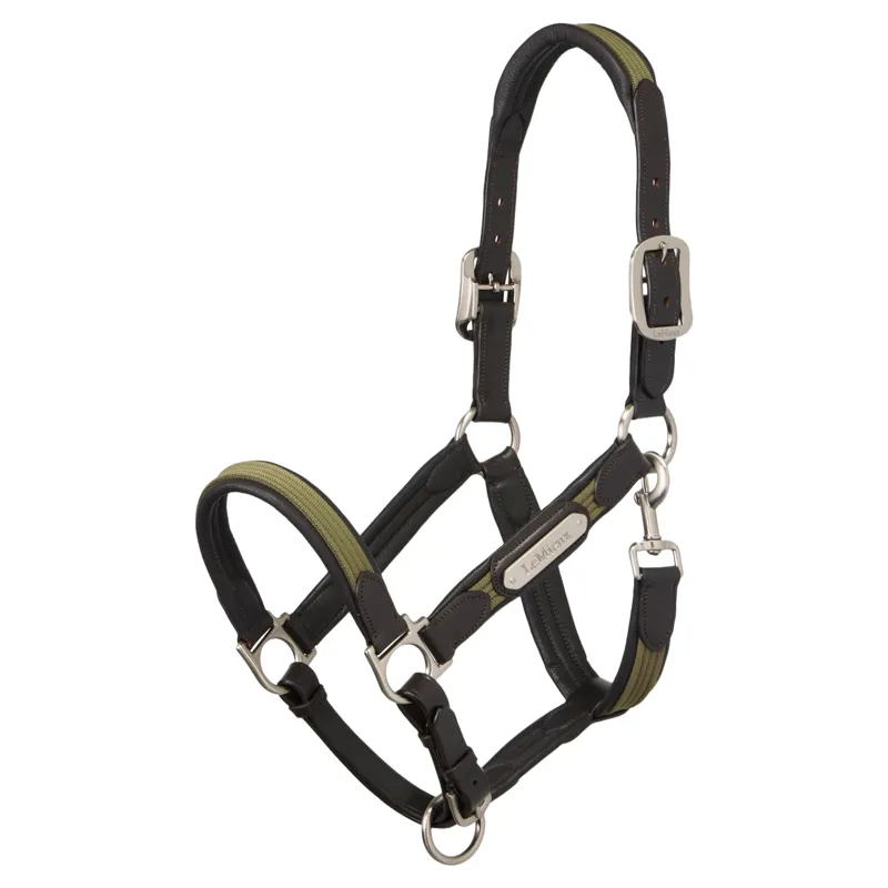 LeMieux Capella Leather Halter - Willow Green