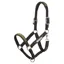 LeMieux Capella Leather Halter - Willow Green