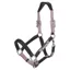 LeMieux Capella Leather Halter - Fondant