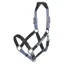 LeMieux Capella Leather Halter - Powder Blue