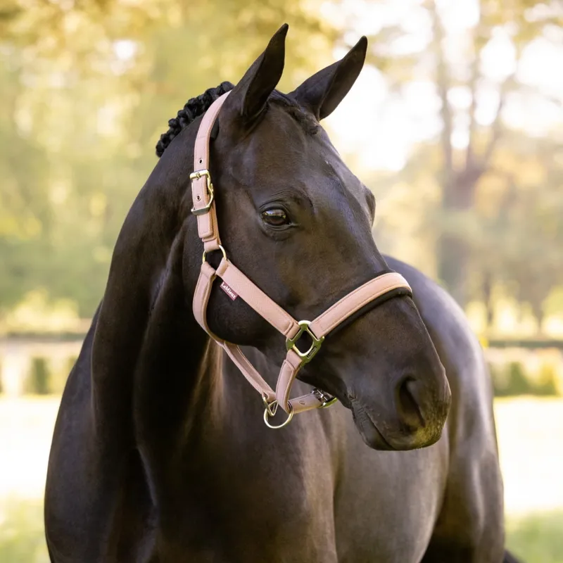 LeMieux Heritage Halter - Wild Rose Pre-Order-1