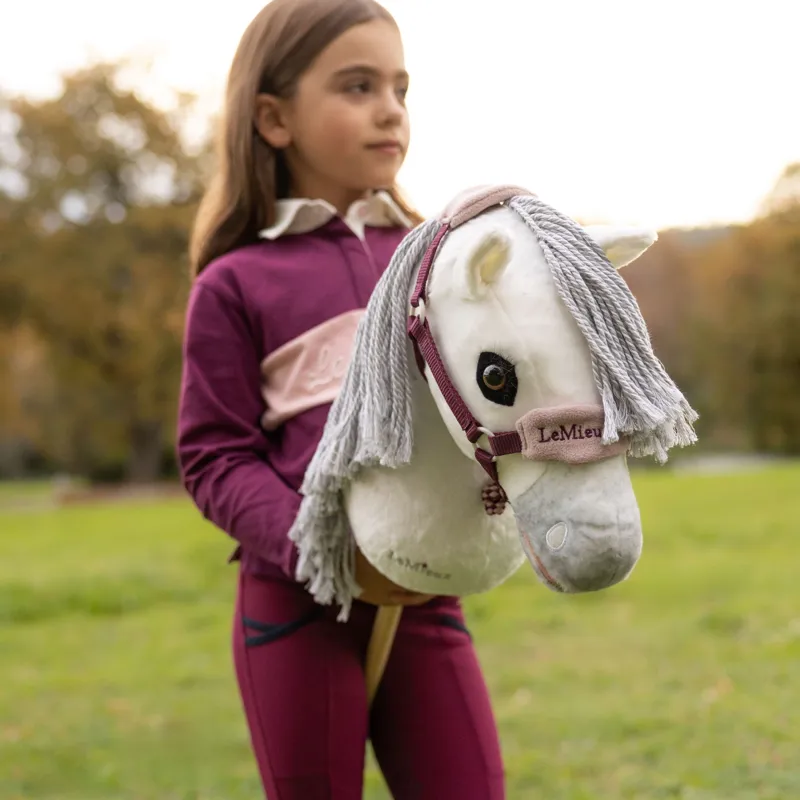 LeMieux Hobby Horse Toy - Coco-4
