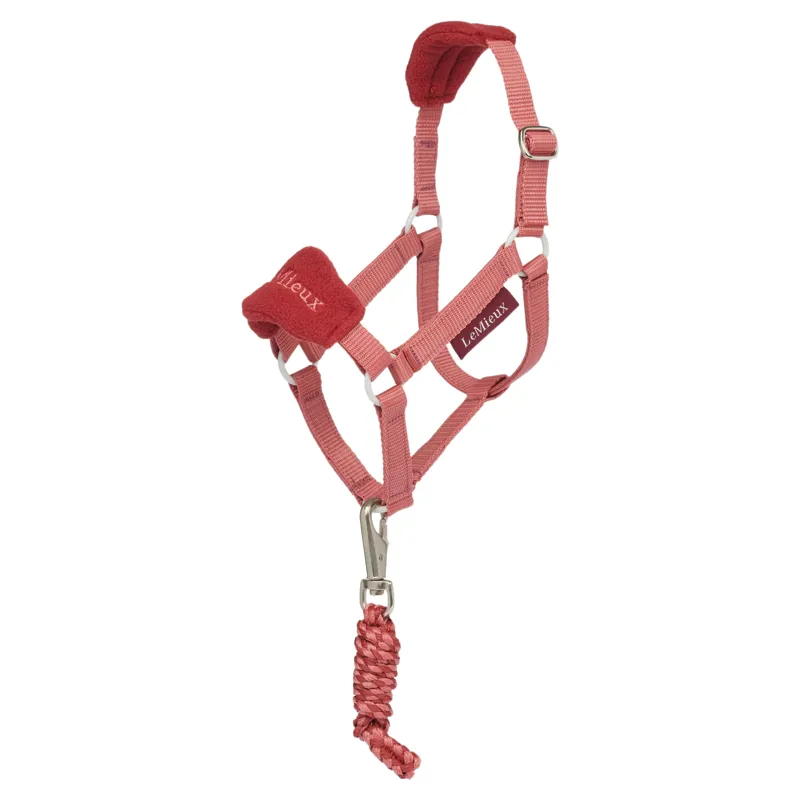 LeMieux Hobby Horse Vogue Halter and Lead Rope Set - Spiced Earth