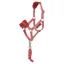 LeMieux Hobby Horse Vogue Halter and Lead Rope Set - Spiced Earth