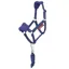 LeMieux Hobby Horse Vogue Halter and Lead Rope Set - Ink Blue