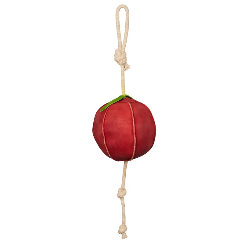 LeMieux Horse Stall Toy - Apple