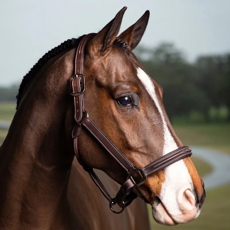LeMieux Stitched Leather Hunter Halter - Havana-1