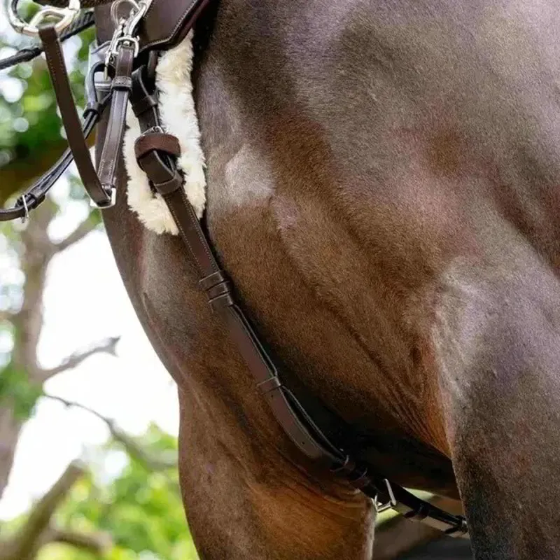 LeMieux Kudos 5 Point Bridge Breastplate - Havana-3