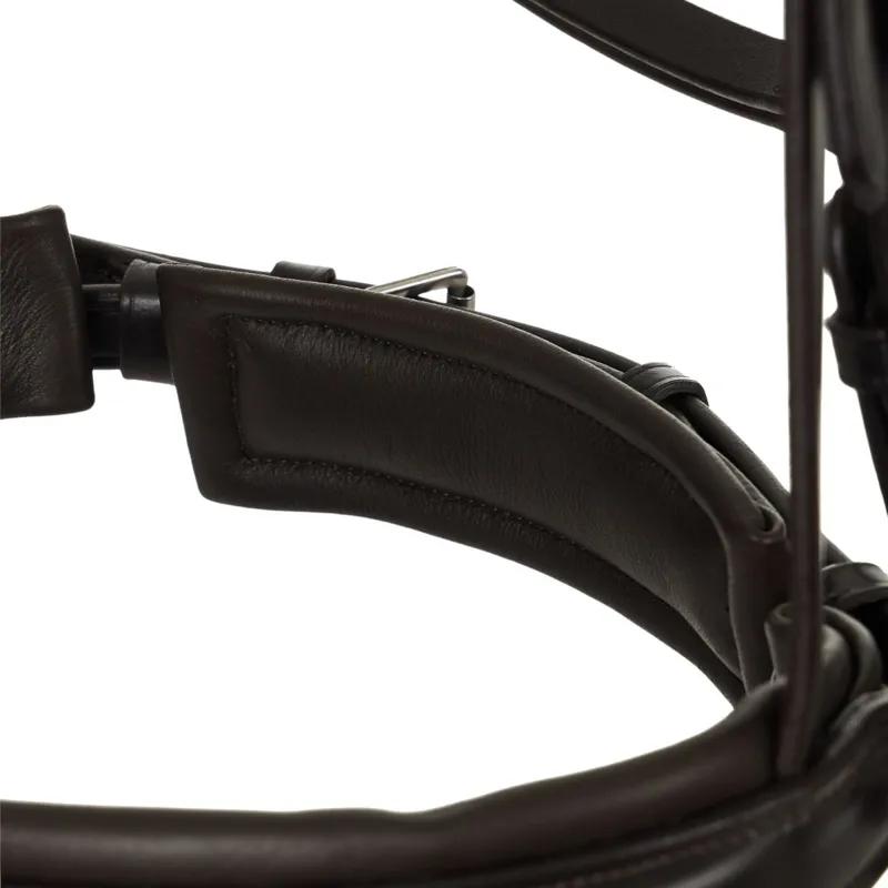 LeMieux Kudos Classic Dressage Flash Bridle - Havana-8