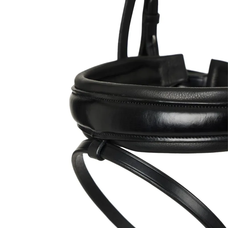 LeMieux Kudos Classic Dressage Flash Bridle-Black-6