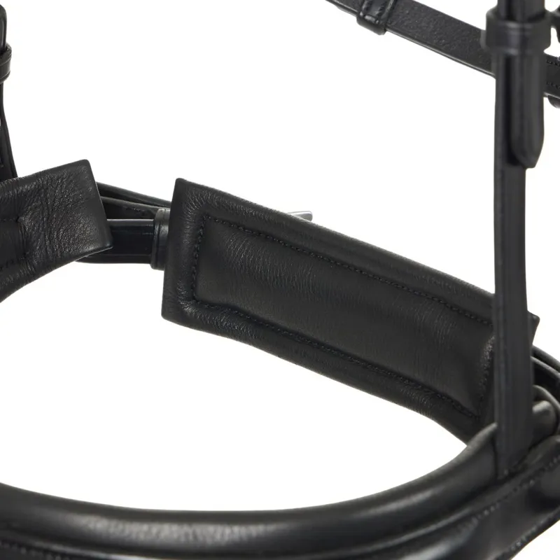 LeMieux Kudos Classic Dressage Flash Bridle-Black-5