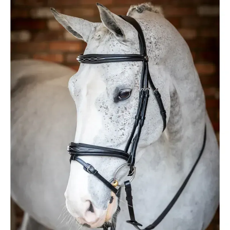 LeMieux Kudos Competition Flash Bridle - Black-3