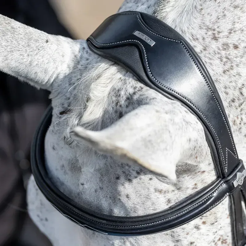 LeMieux Kudos Competition Flash Bridle - Black-4