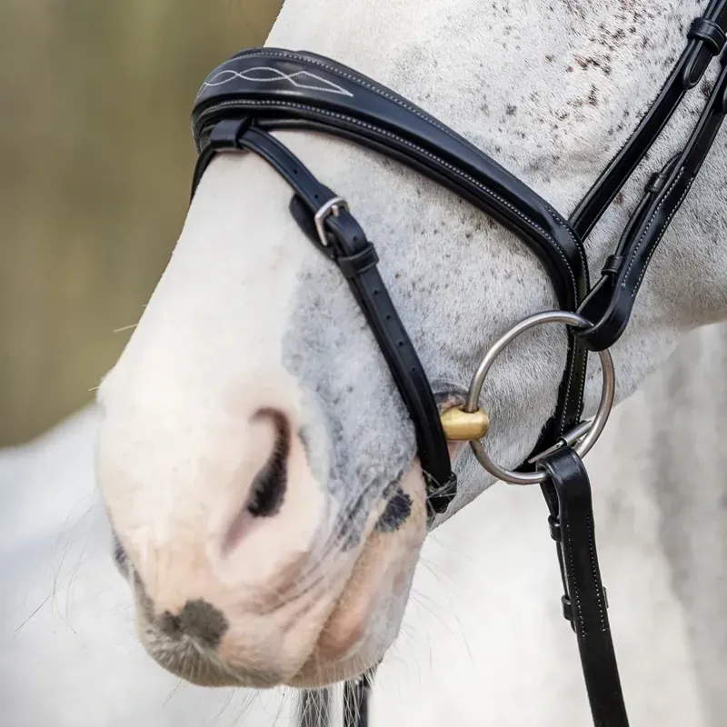 LeMieux Kudos Competition Flash Bridle - Black-5
