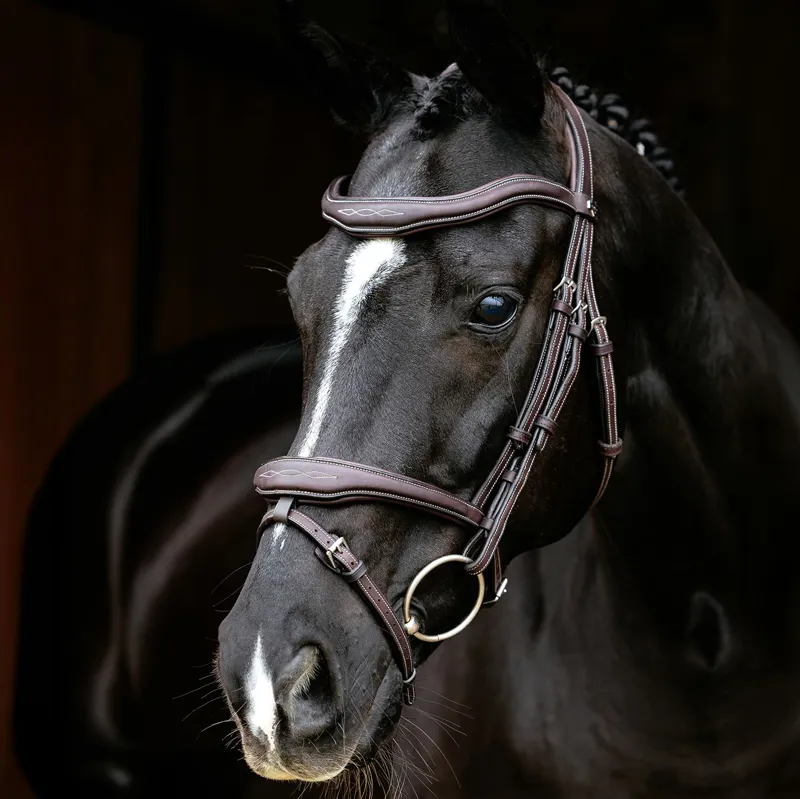 LeMieux Kudos Contour Flash Bridle - Brown-1
