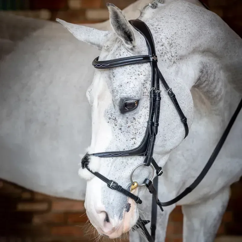 LeMieux Kudos Figure 8 Bridle - Black-1