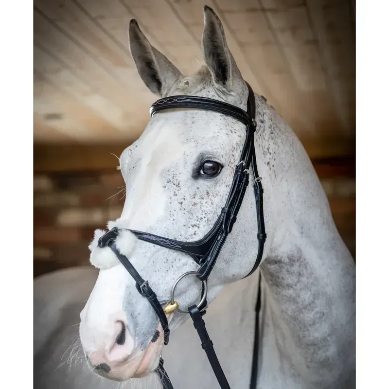 LeMieux Kudos Figure 8 Bridle - Black-2