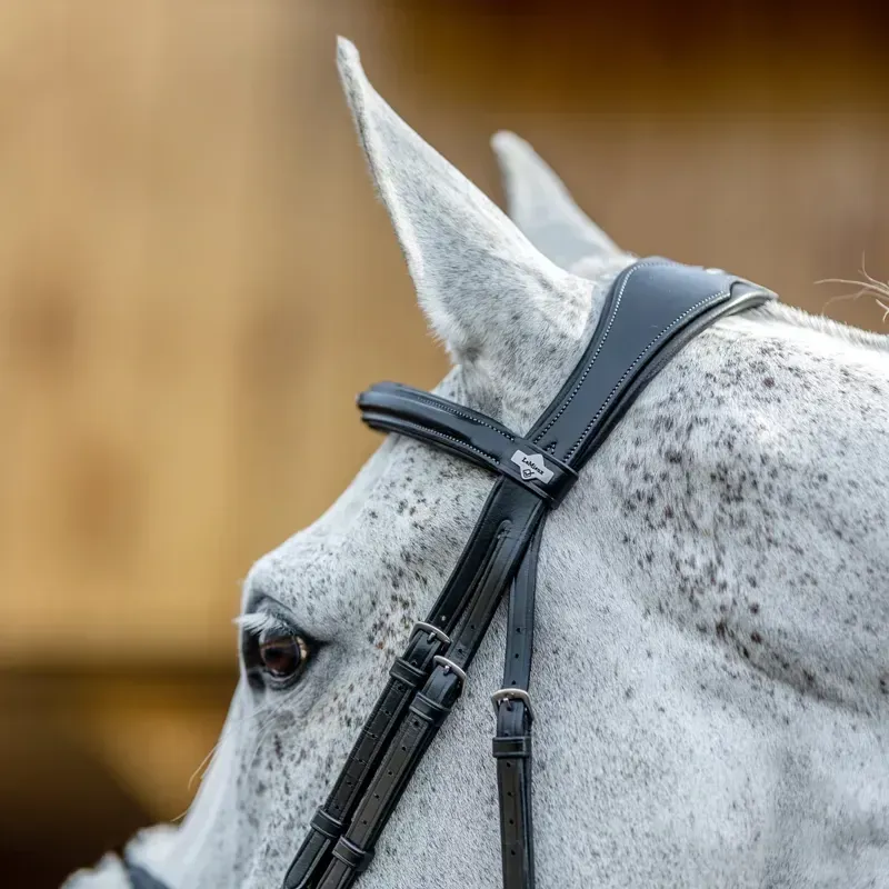 LeMieux Kudos Figure 8 Bridle - Black-3