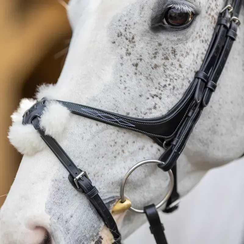 LeMieux Kudos Figure 8 Bridle - Black-4